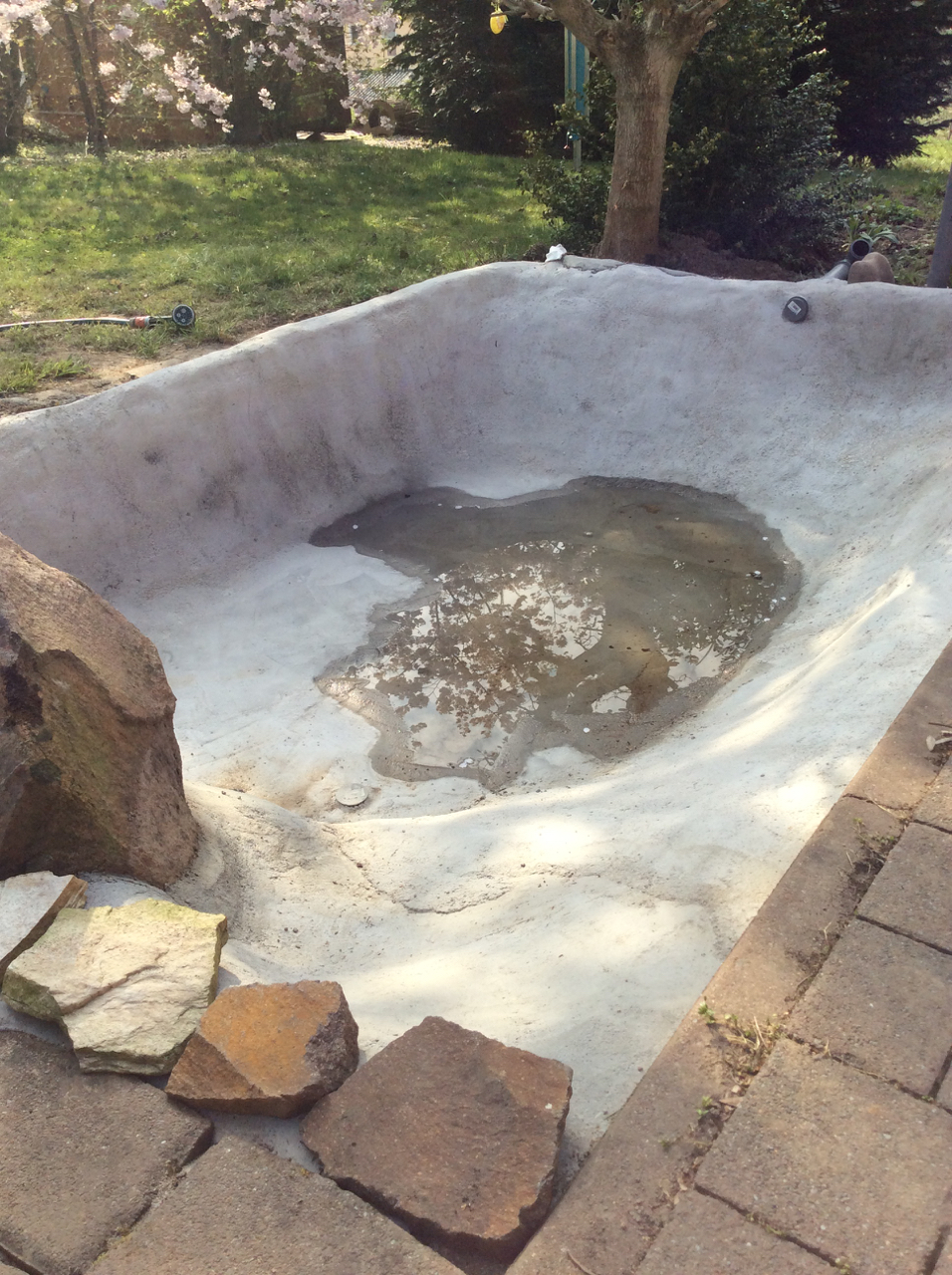 Medaka Teich Haltung