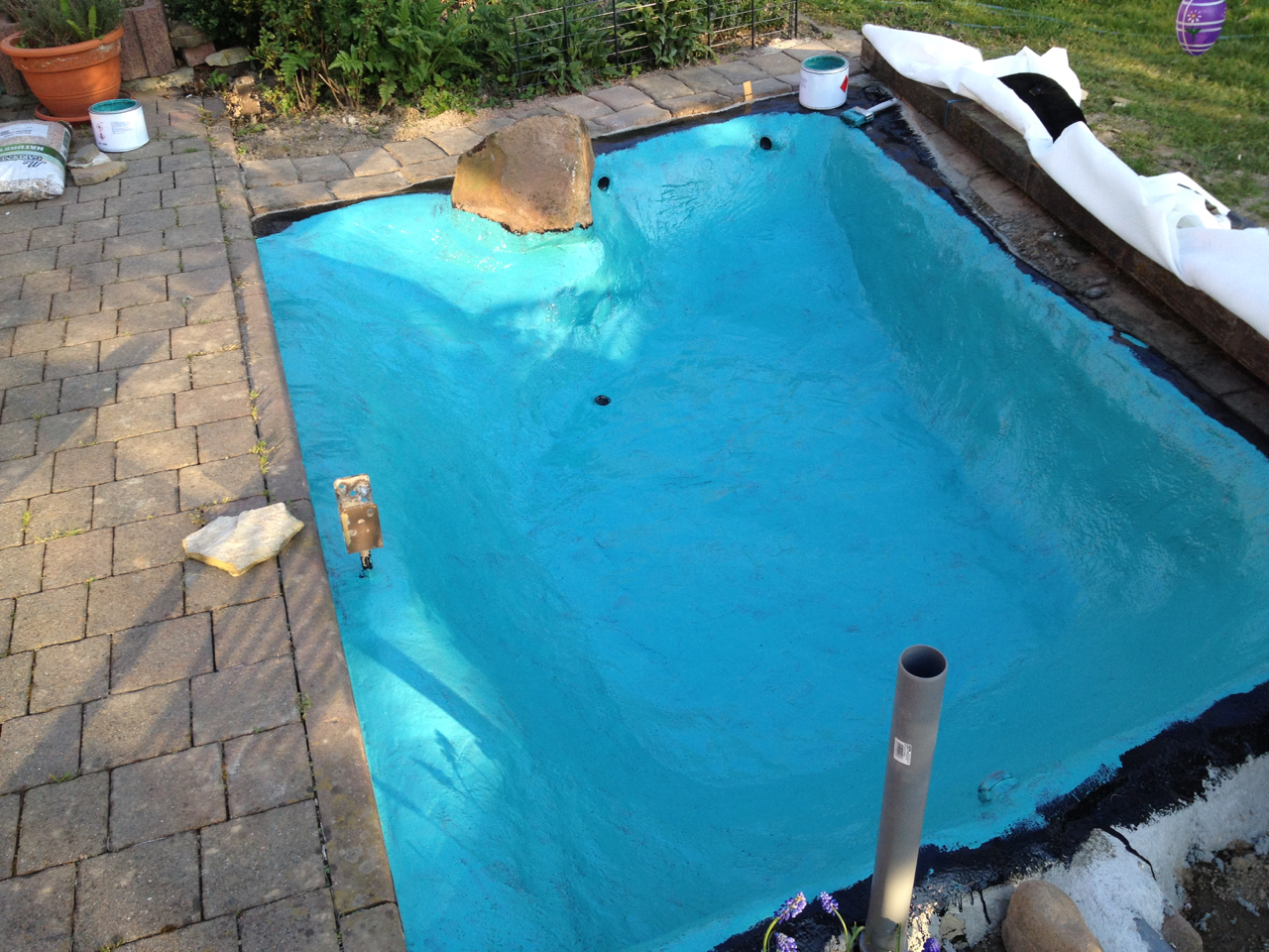 Medaka Teich Haltung