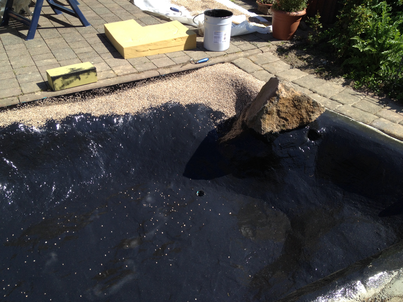 Medaka Teich Haltung